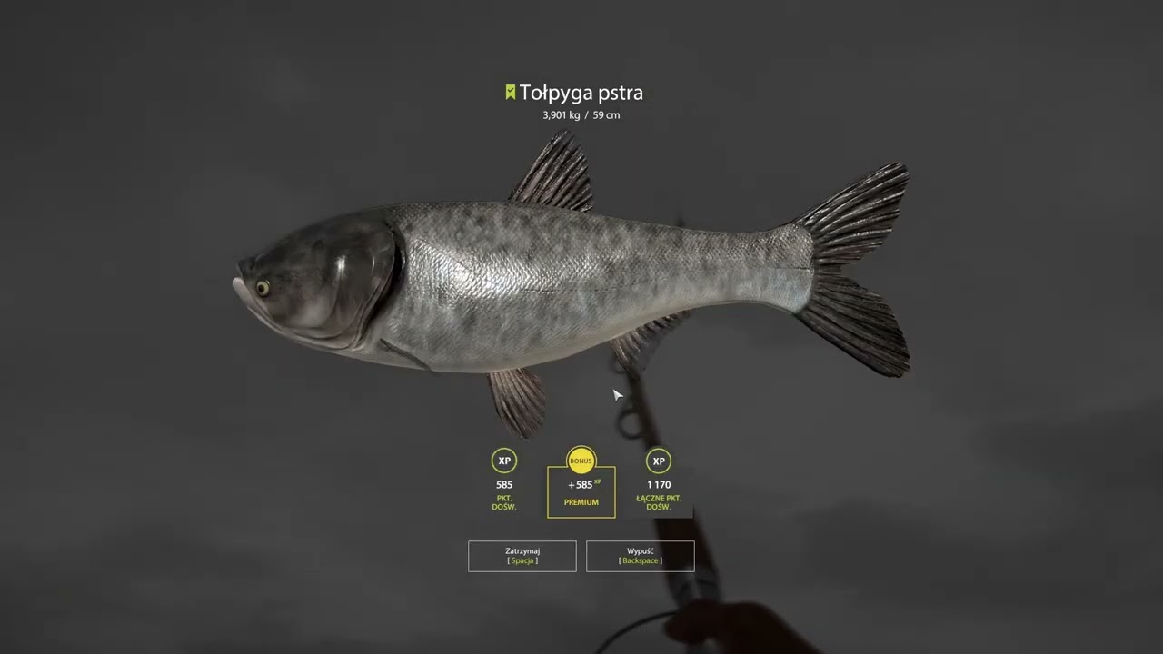 Chęć pomocy graczom i dobre rozwiązanie spraw przez administracje #russianfishing4 #rf4 #poradnik