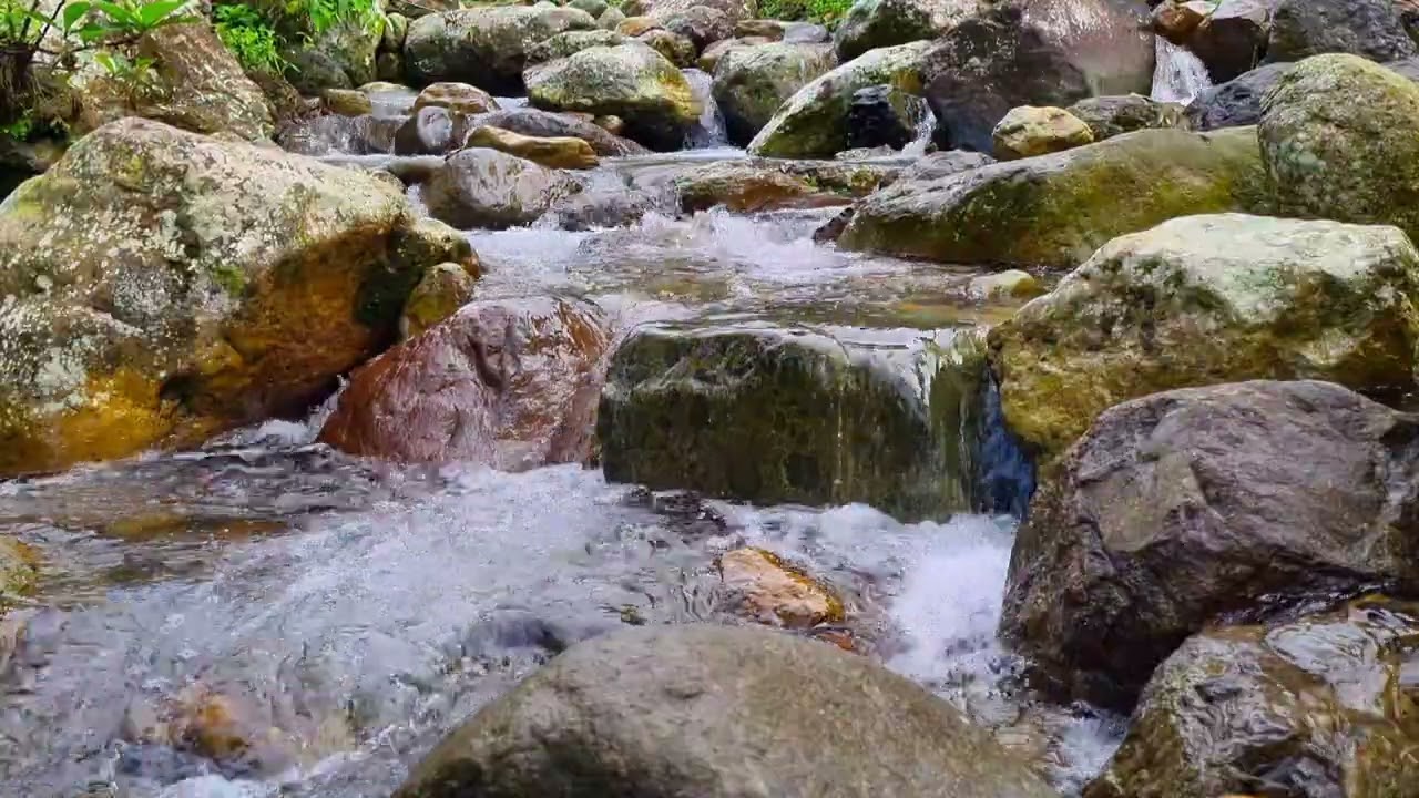 1 Hour River Flow Ambience • Natural Water Sound for Deep Concentration & Calm Energy 4K