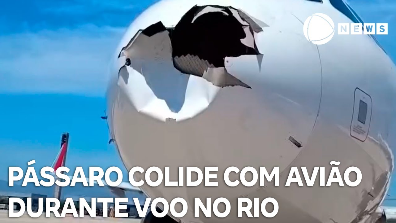 Pássaro colide com avião durante voo no Rio de Janeiro