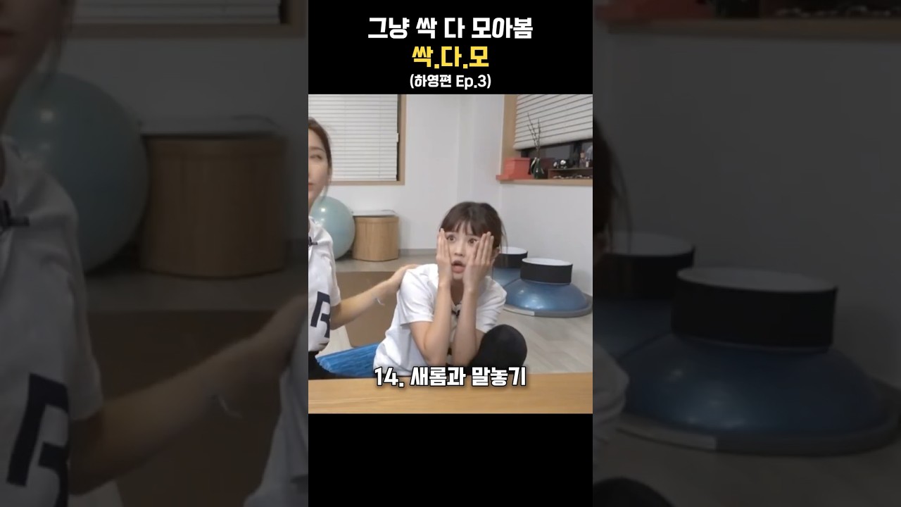 그냥 싹 다 모아봄 싹.다.모 (하영편 Ep.3)
