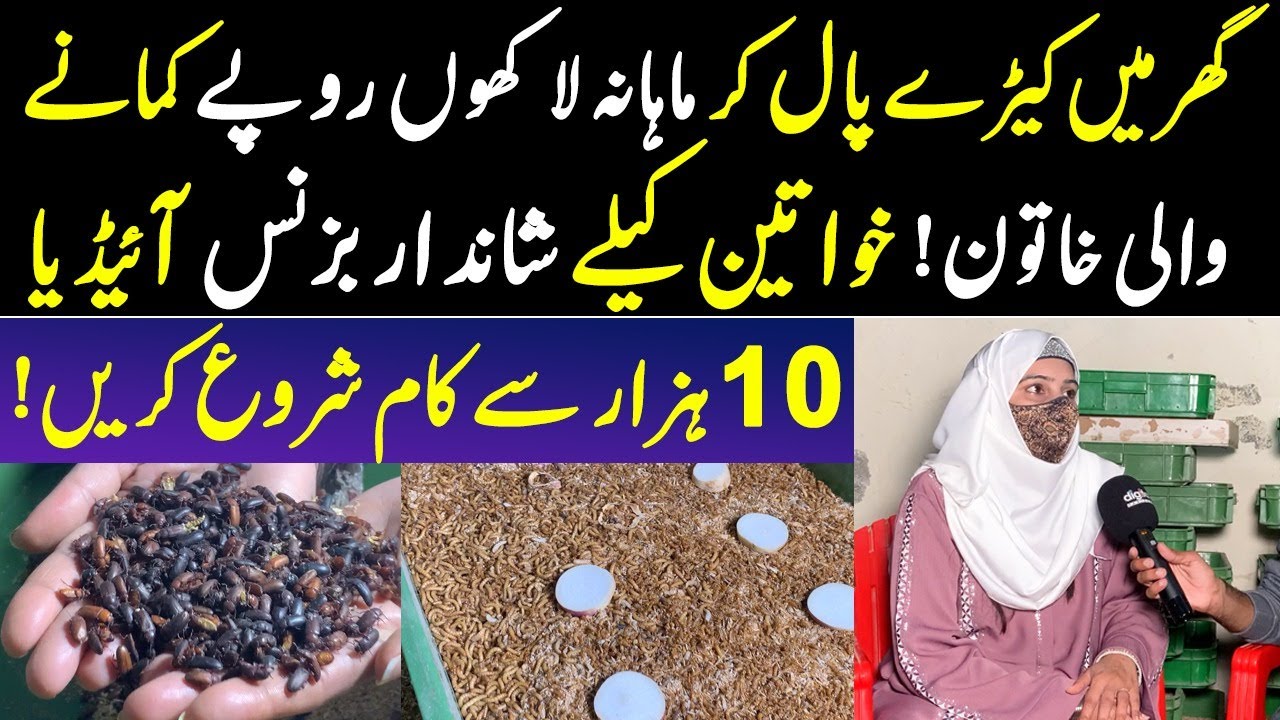 Pakistani Khatoon Jo Insect Farming Ka Zaria Lakhon Rupee Kama Rhe Hai | Inspiring Story