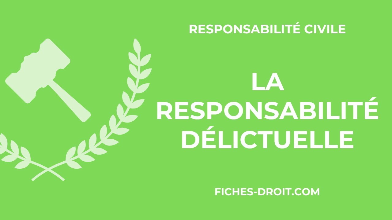 La responsabilité délictuelle / extracontractuelle : définition et conditions