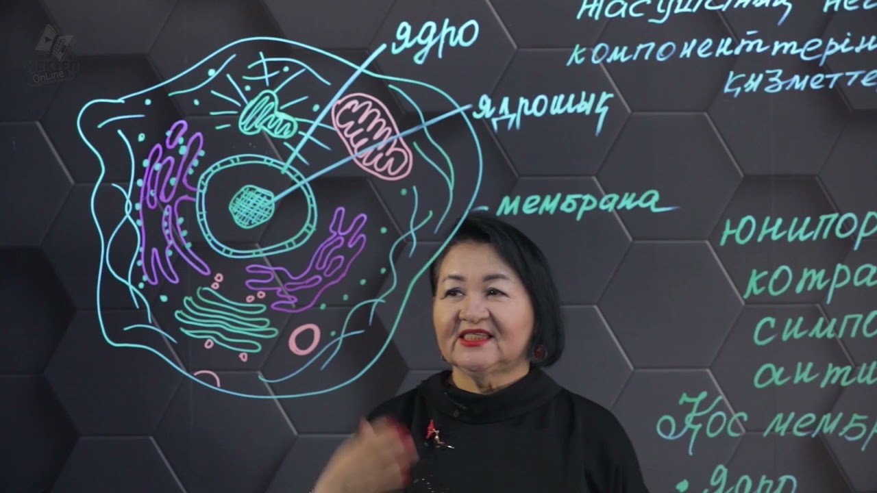 Жасушаның негізгі компоненттерінің қызметтері. 10 сынып.