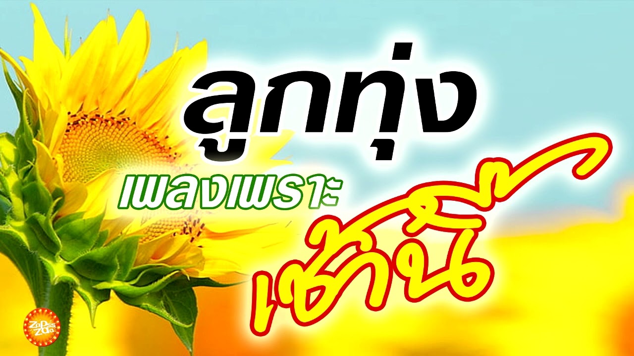 เพลงลูกทุ่งเพราะ ฟังเพลินโดนใจ เช้านี้คัดพิเศษ