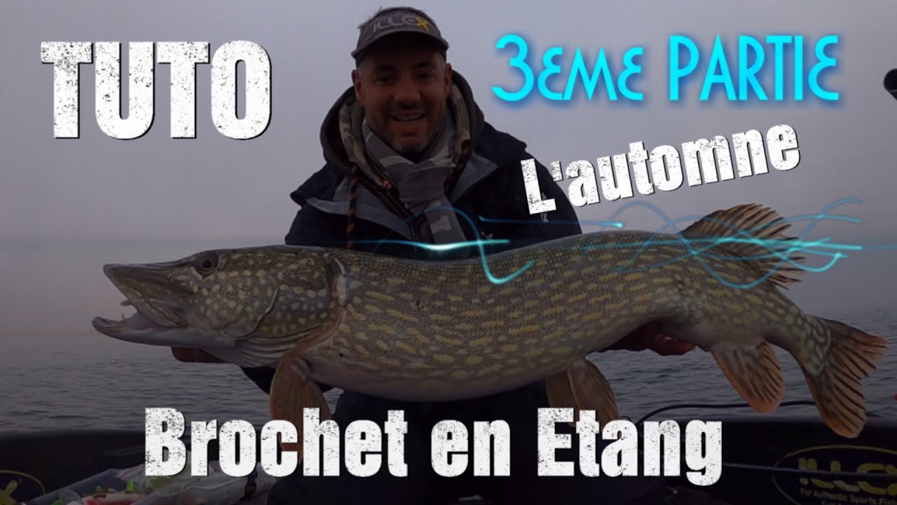 TUTO: Brochet en étang PARTIE 3 (L'Automne)
