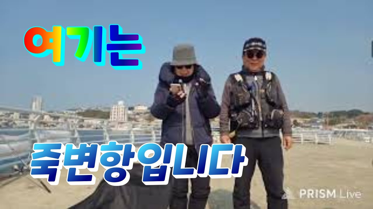 죽변항 낚시 실제 실황!