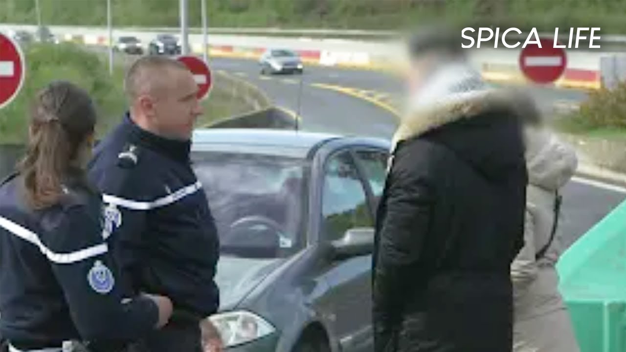 Sécurité routière : le quotidien des gendarmes sur l'A10