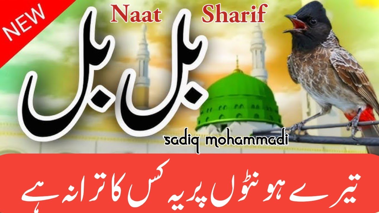 New Naat 2026|Bulbul Tere Hothon Per Yah Kiska Tarana hai|Molana Sadiq Mohammadi 