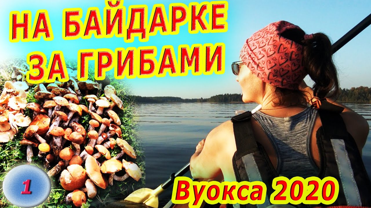 #1 На байдарке за грибами | Ростбиф по походному | Сплав по Вуоксе 2020