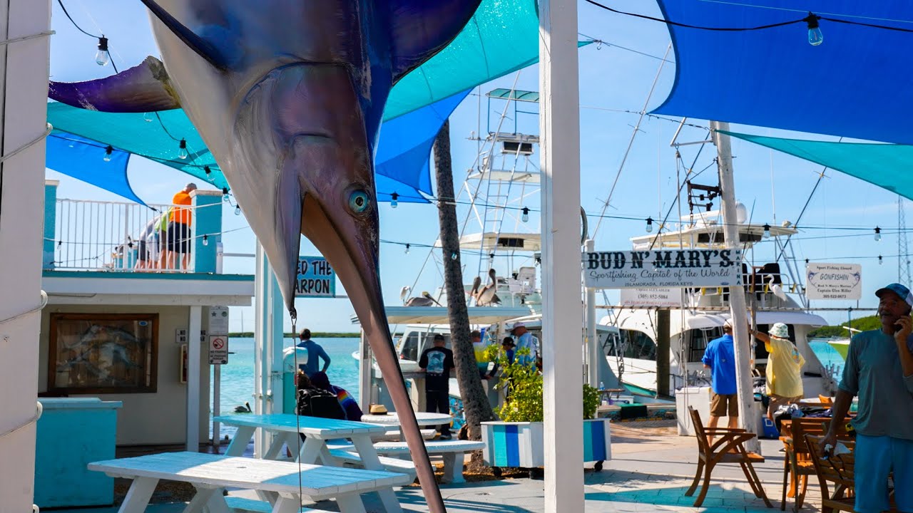 New Swordfish Mount Is up! Hot Kingfish bite! - January Fishing Report