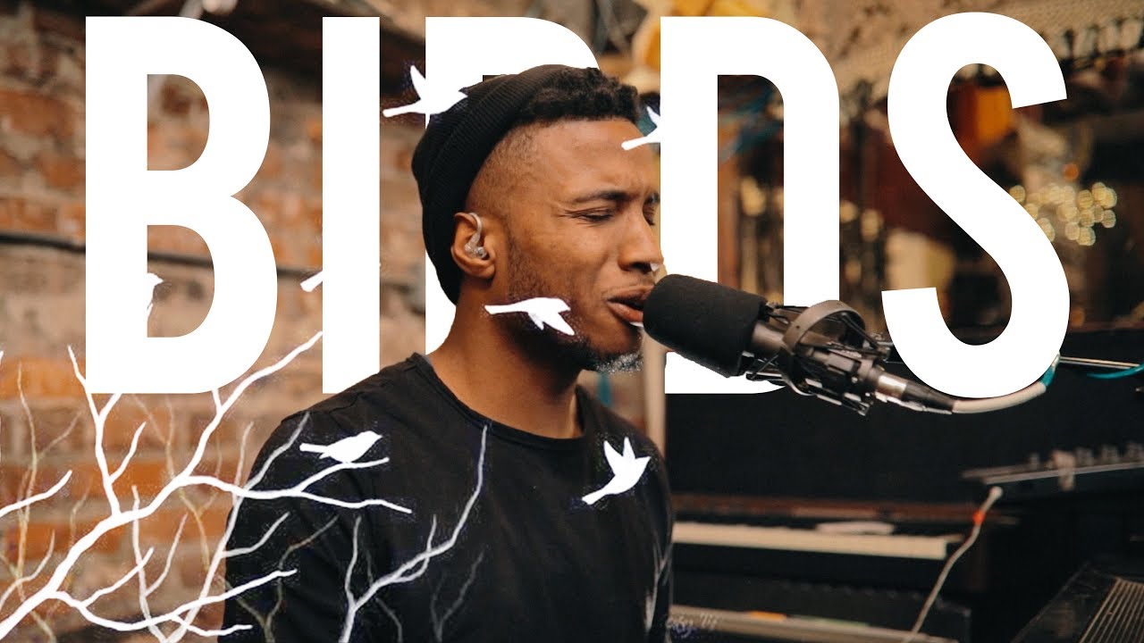 IAMSON - Birds 