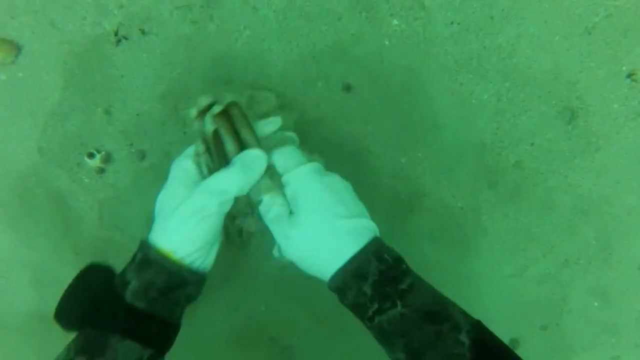 MARISCO GALLEGO: CAPTURA DE NAVAJA EN LA PLAYA DE SAN MARTIÑO DE LA ISLAS CÍES.wmv