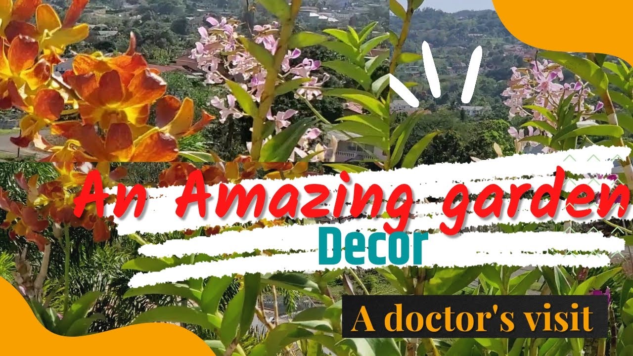 A doctor's visit: Amazing orchid garden Decor in Manchester, Jamaica