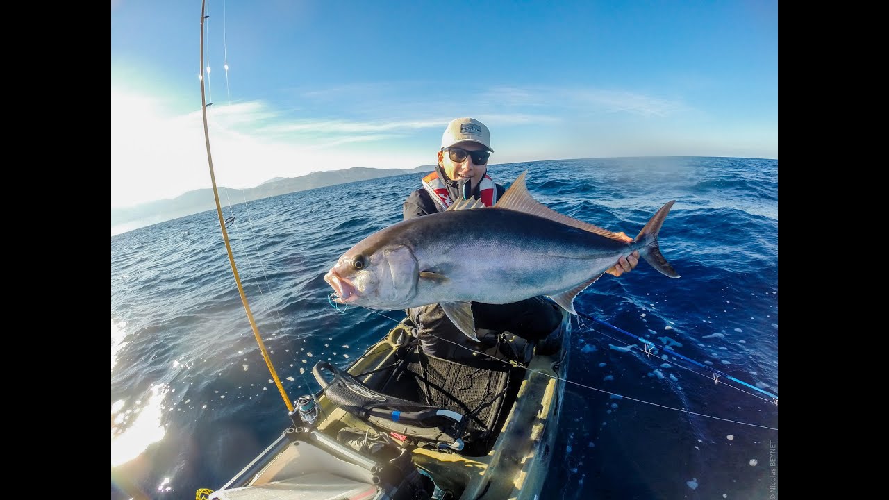 Une pêche automnale à la Sériole // Fall Amberjack fishing