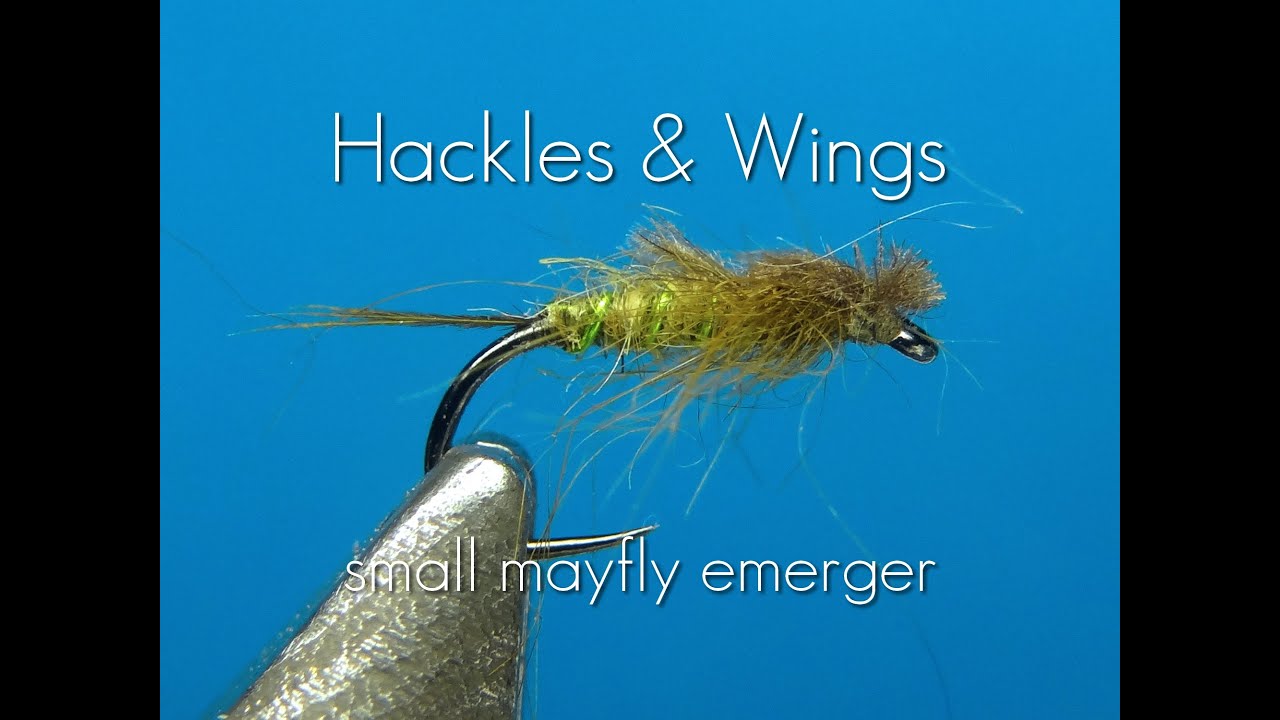 Fly Tying Small Mayfly Emerger | Hackles & Wings