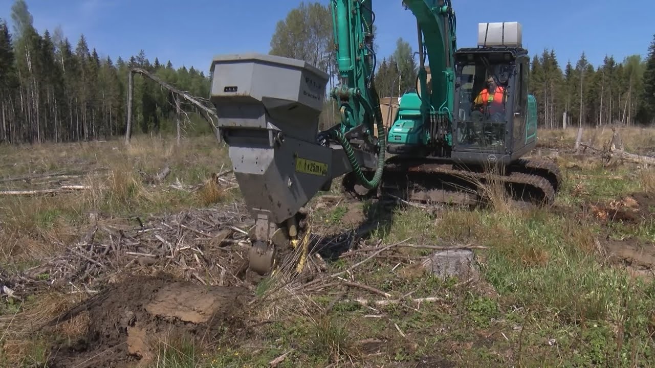 Turpinās meža stādīšana mašinizēti
