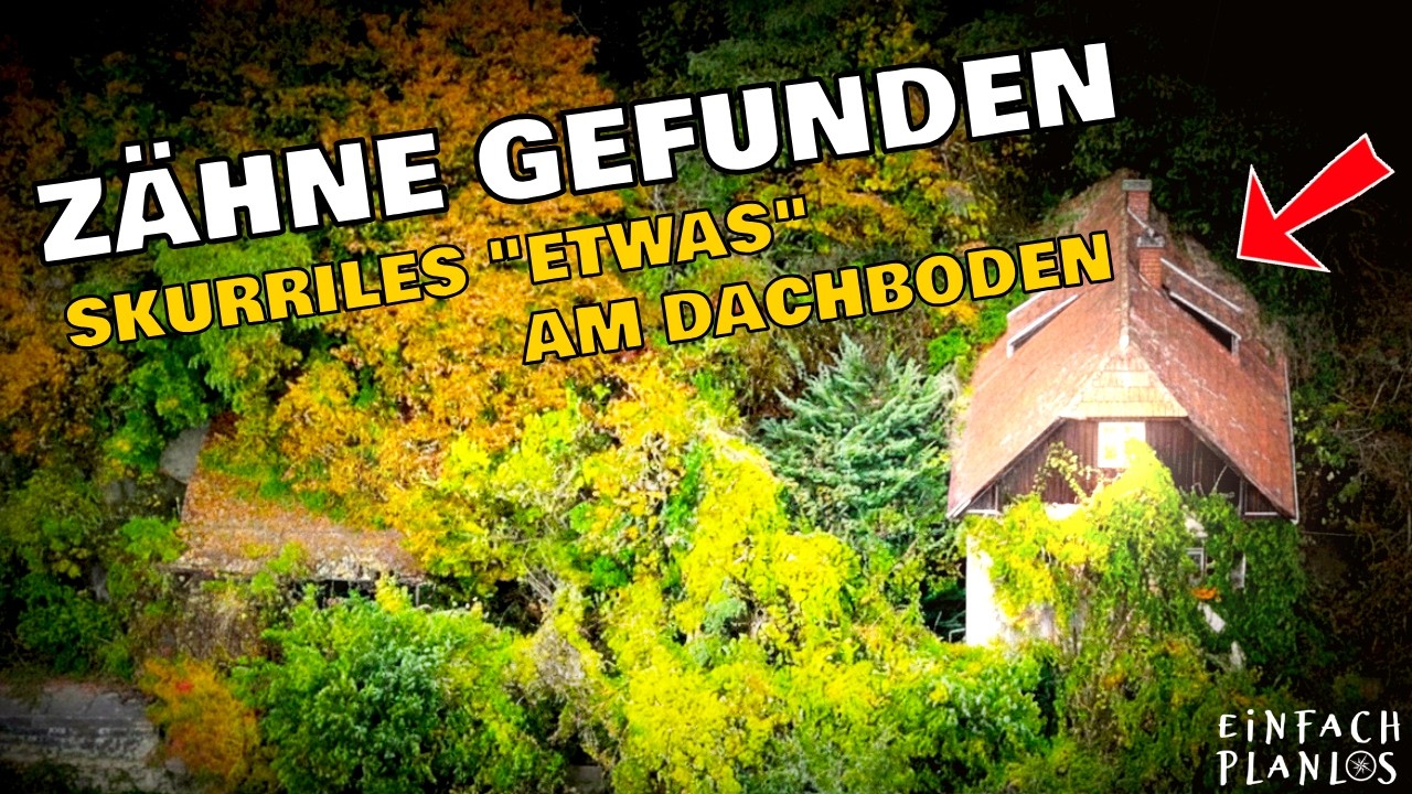 30 JAHRE im Dornröschenschlaf – was hier zurückblieb, ist unglaublich! #lostplace #urbex