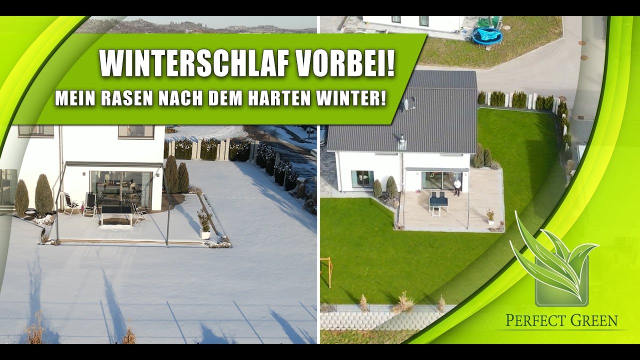 Rasen im Winter | Rasen nach Schnee & Frost  |  Supina kurz vor Saisonstart  |  Winterschlaf vorbei