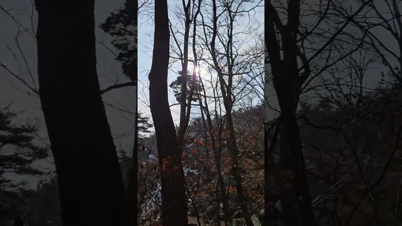 예산덕산면 상가리 가야산에 가다