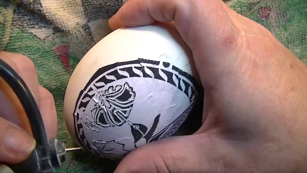 Beginner hummingbird cut out on goose egg