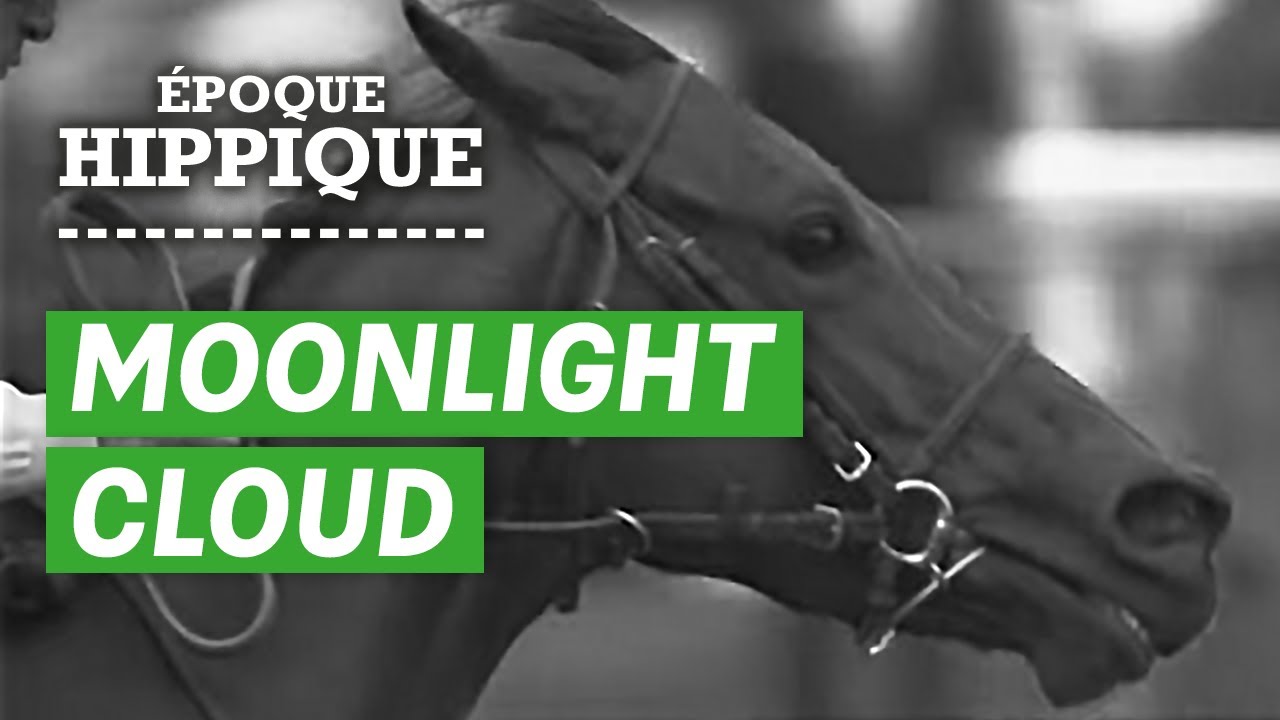 L'histoire de Moonlight Cloud : la jument qui éclairait les courses | Époque Hippique | PMU