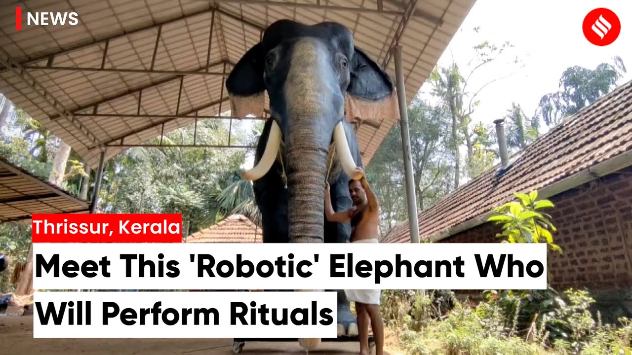 In a first, Kerala temple to use robotic elephant instead of real one to perform rituals
