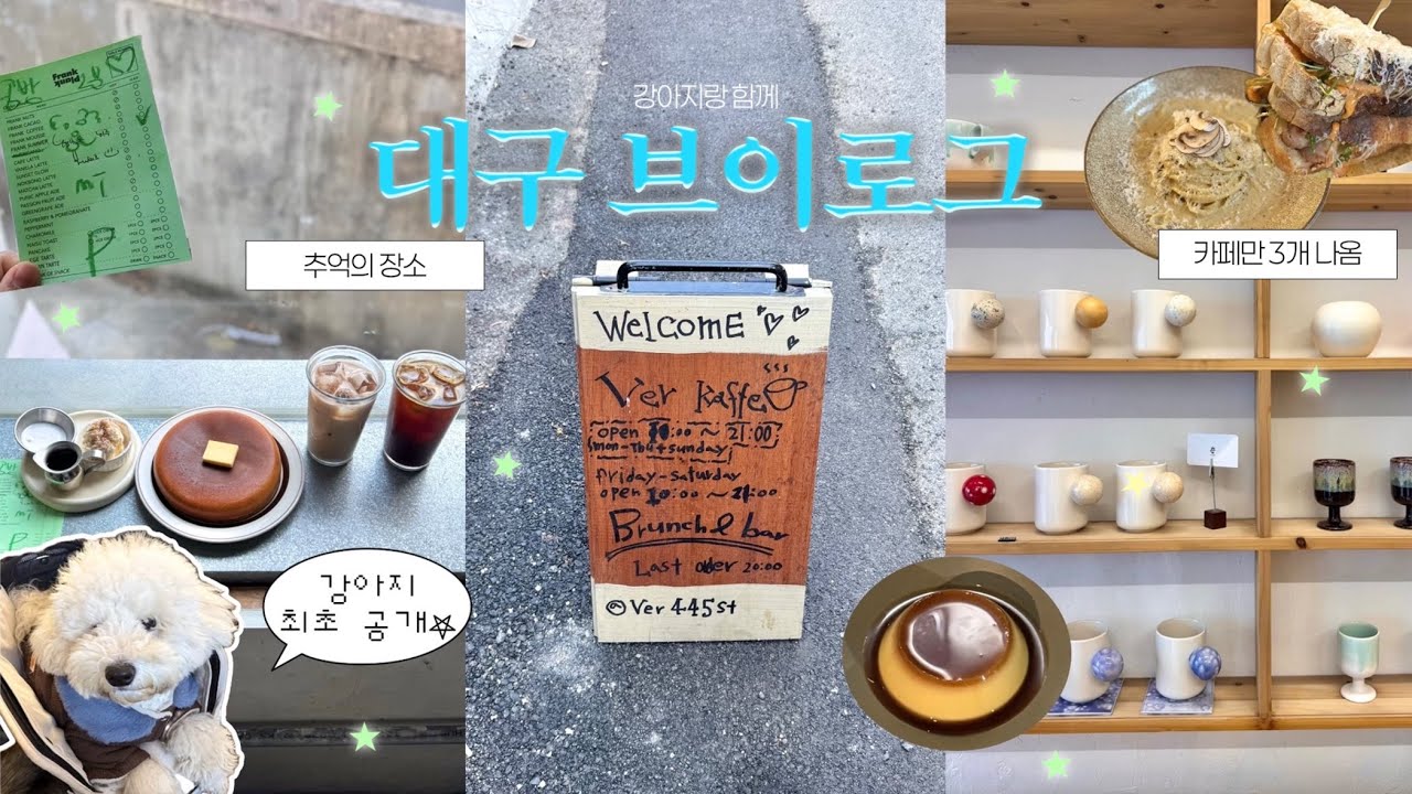 나 혼자•••🚶🏻‍♀️가 아닌 남편과 강아지랑 대구 당일치기🐶 | 애견 동반 카페 | 도자기 공방 | 롯데 아울렛 | 영천 휴게소 펫파크 | 포항 최애 카페까지☕️* ₊ ⋆