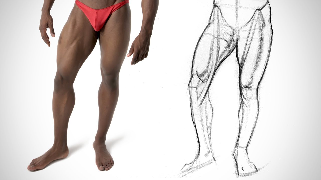 Leg Quicksketch - Inner Leg Anatomy