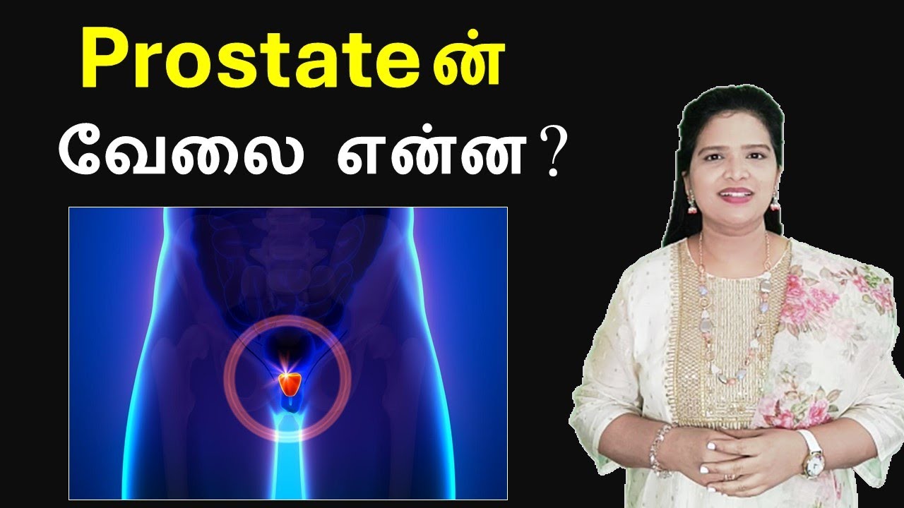 Prostate Gland - Structure and Functions | Tamil