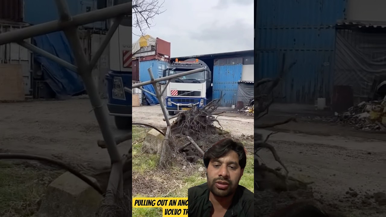 Tree ko jad se ukhaad diya #truckernews #truckdrivers #tree #luxurytruck #truckclub #truckin