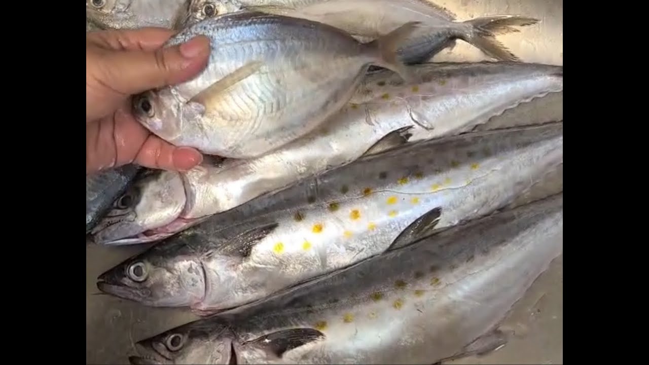 Delicious Spicy Fish Curry