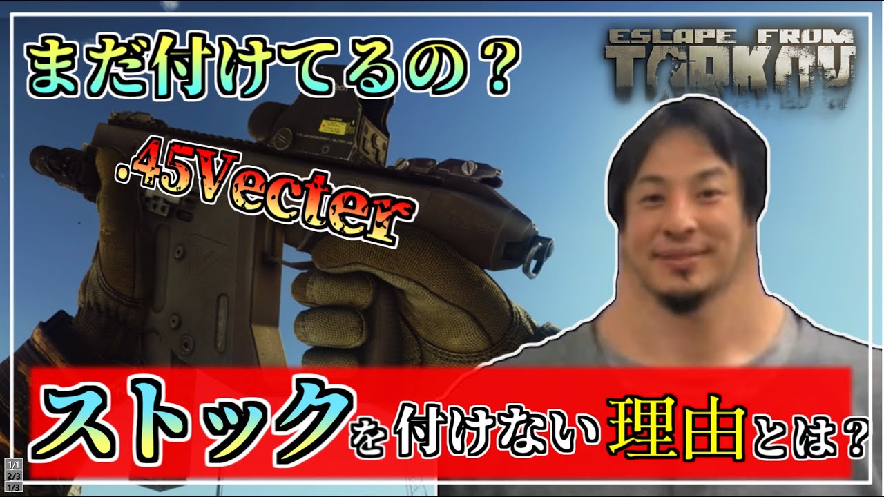 【タルコフ】お前のバルクを見せてみろ　.45Vecter【EFT】