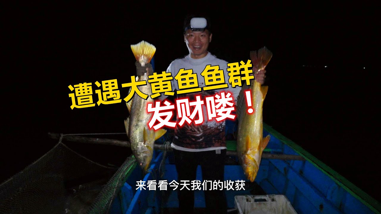 【阿牛赶海】三百五租船捕鱼，一条又一条五六公斤的黄花鱼连着上，发财的节奏