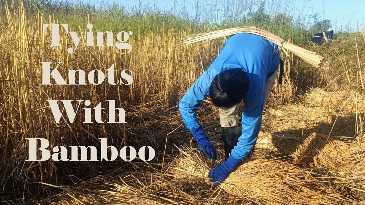 Tying knots with bamboo - Traditional Technique
