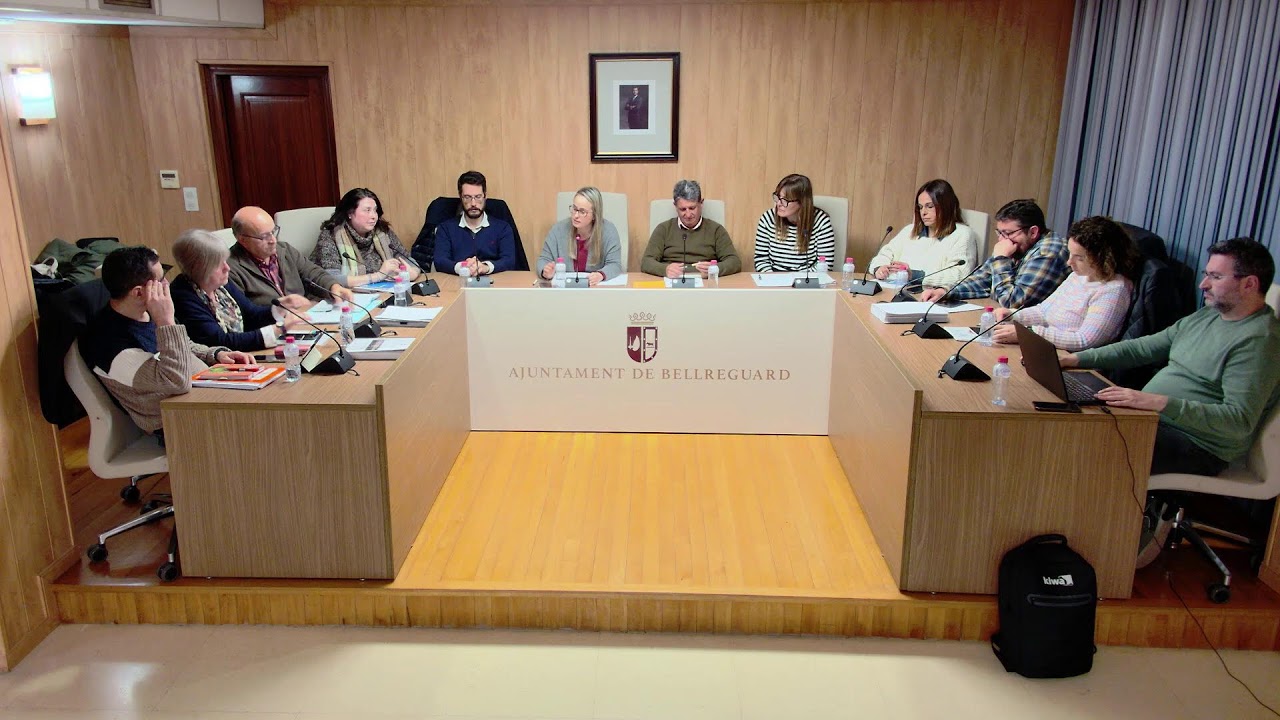 Ple Ordinari Febrer 12/02/2025