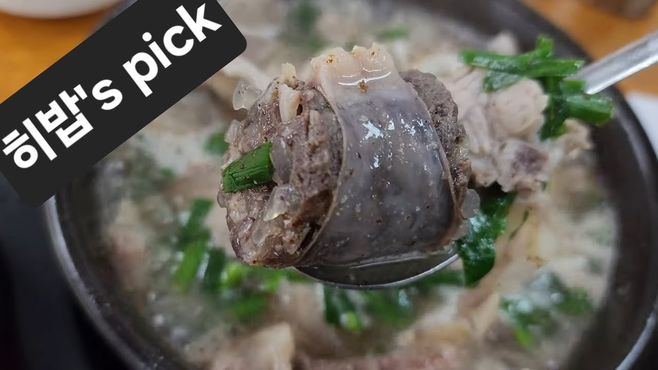 (4K)여기가 히밥님의 맛집인지 모르고 갔습니다(목동 만복순대국)