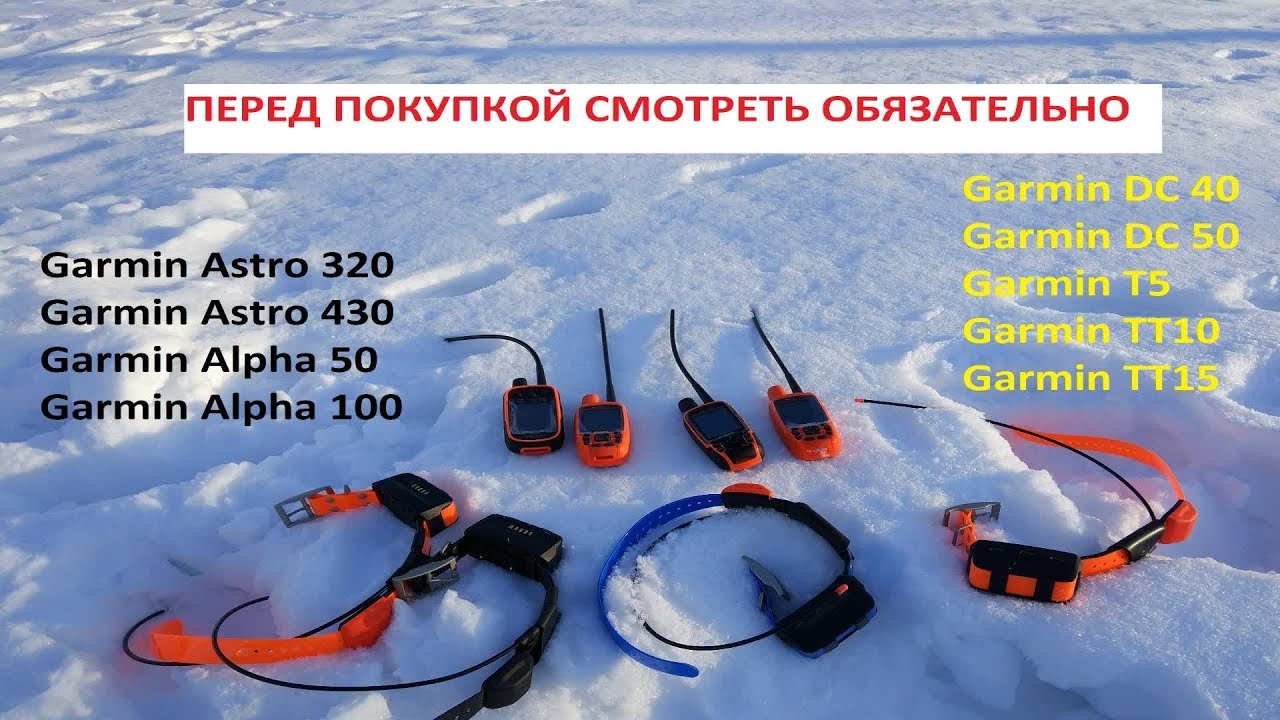 Сравнение отличия Garmin Astro 430 и 320 и Гармин Alpha 50 и 100 ОБЗОР! Какой выбрать купить
