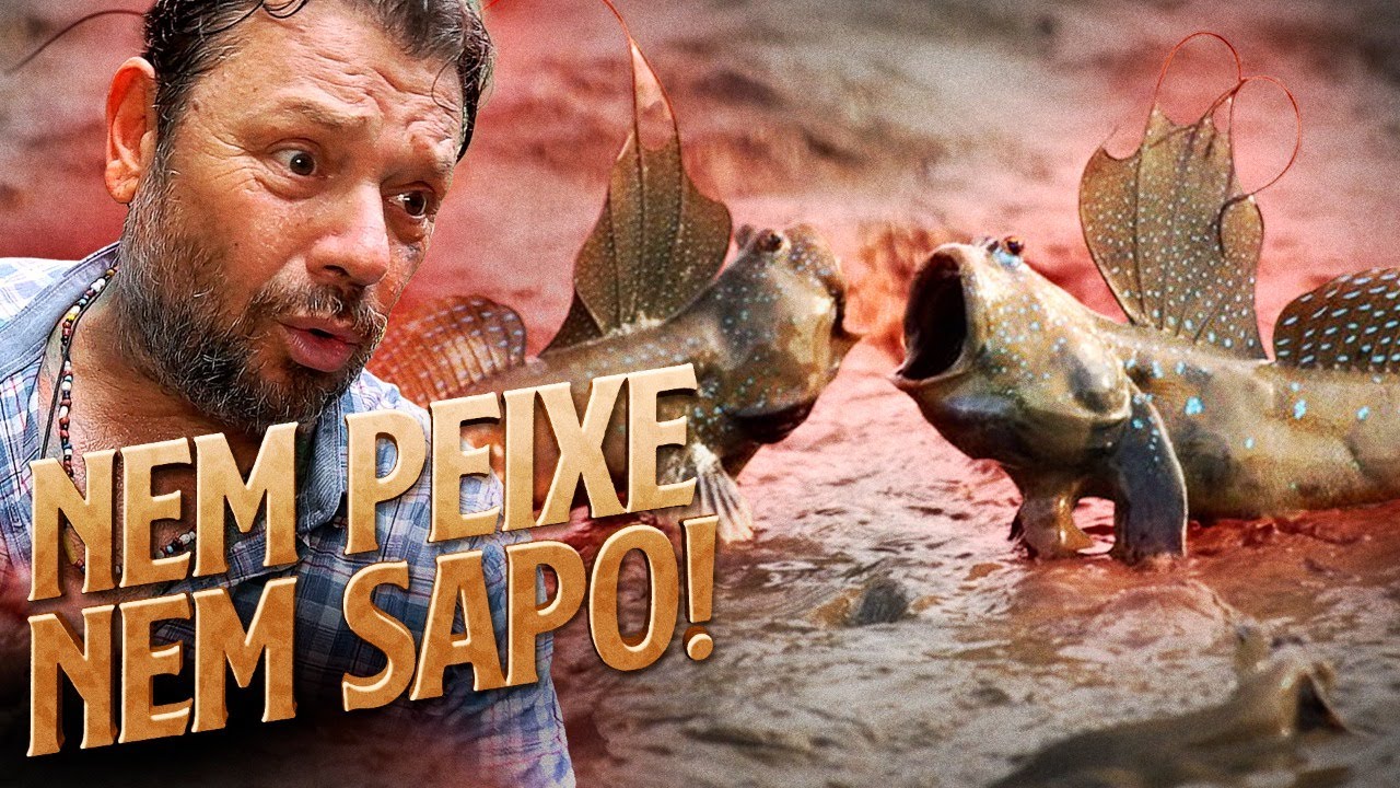 MUDSKIPPER, O PEIXE MUTANTE DOS MANGUES! | RICHARD RASMUSSEN