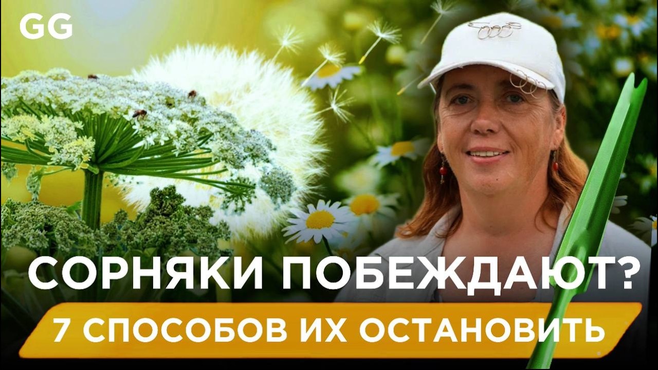 Почему сорняки ВСЕГДА побеждают и что с этим делать