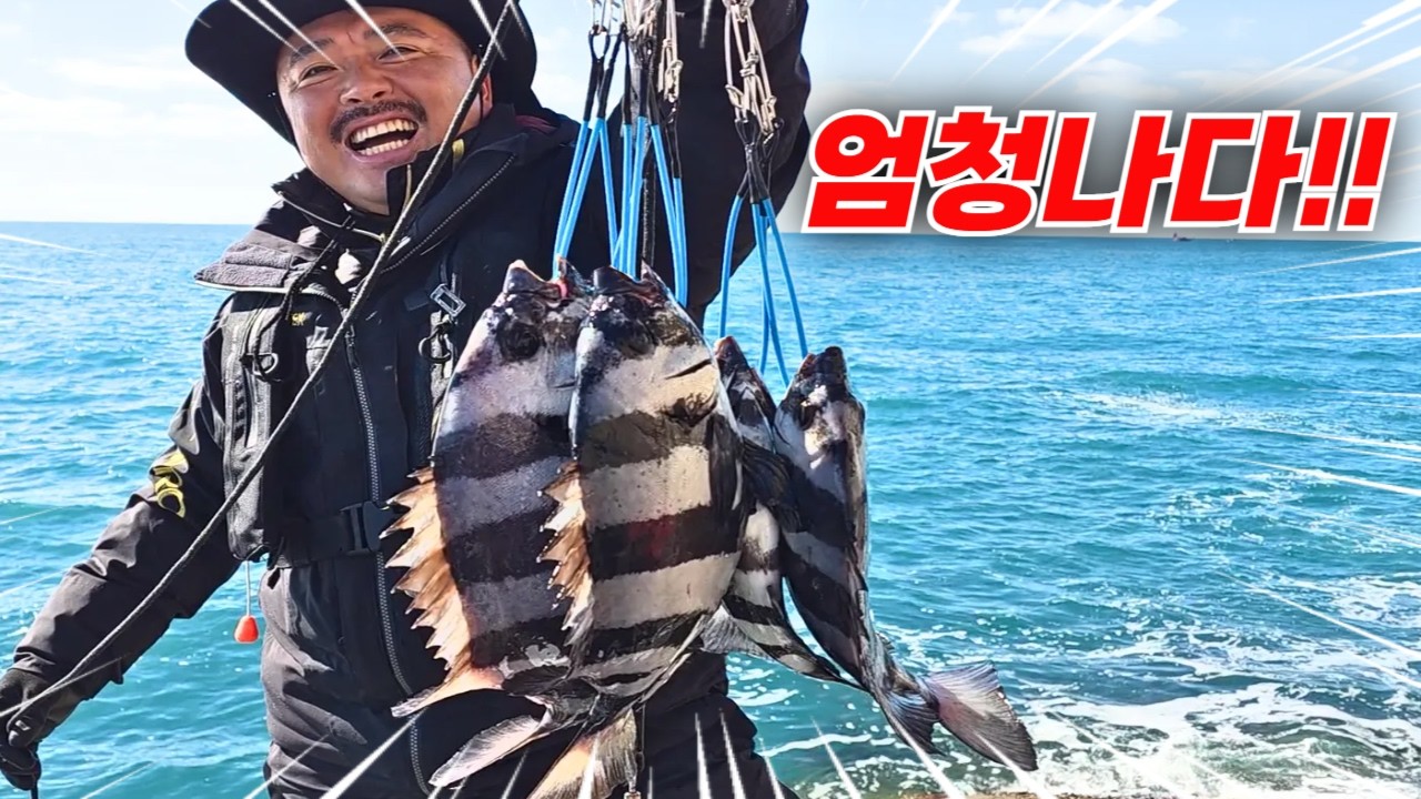 소름..비싼 고급생선이 막 쏟아져 나온다!!