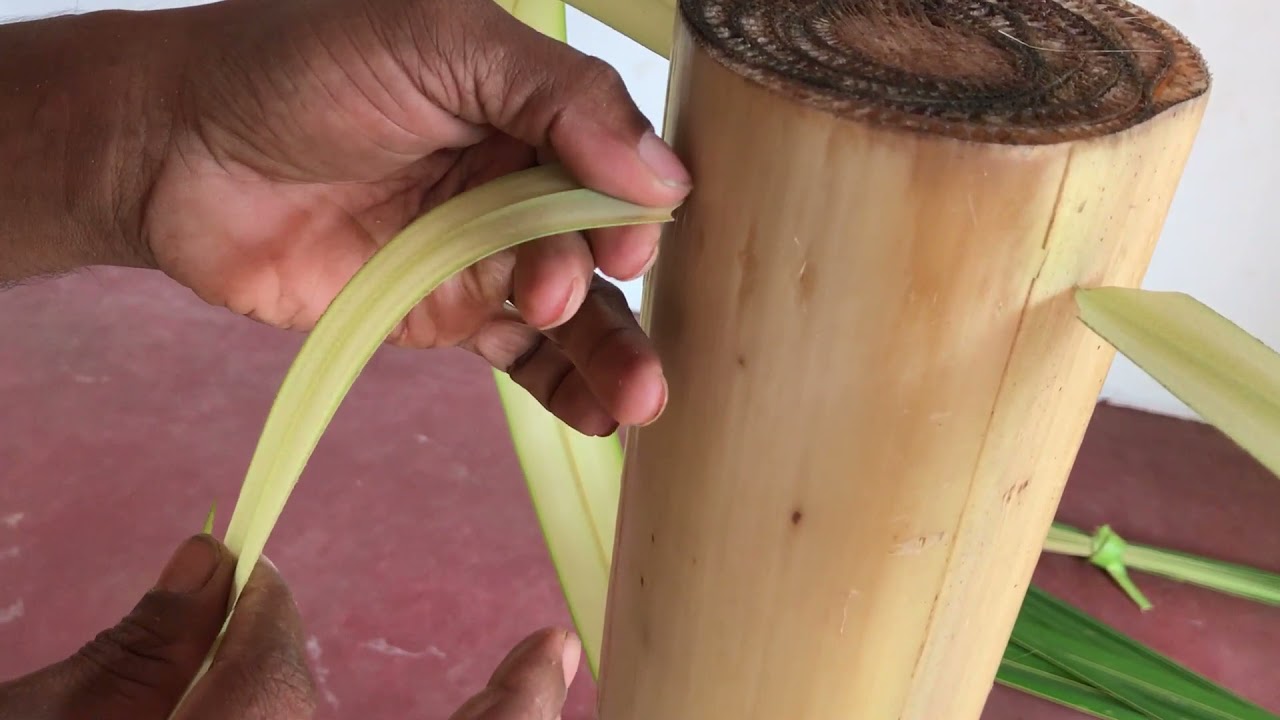 ape nawa nipeyum pasala, gokkola pahana