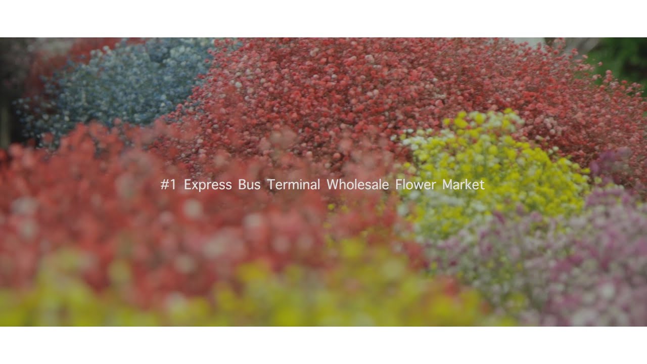 #1 Express Bus Terminal Wholesale Flower Market