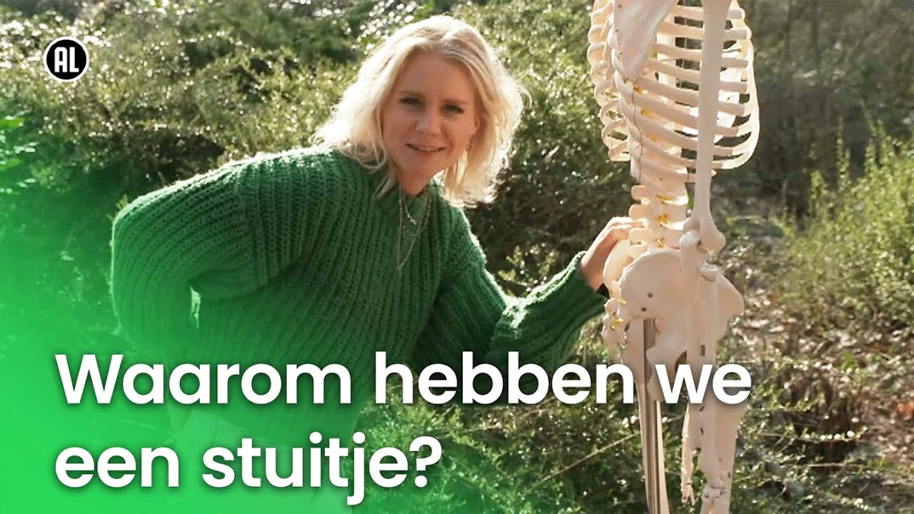 Waarom hebben we een stuitje? | Vragen van Kinderen