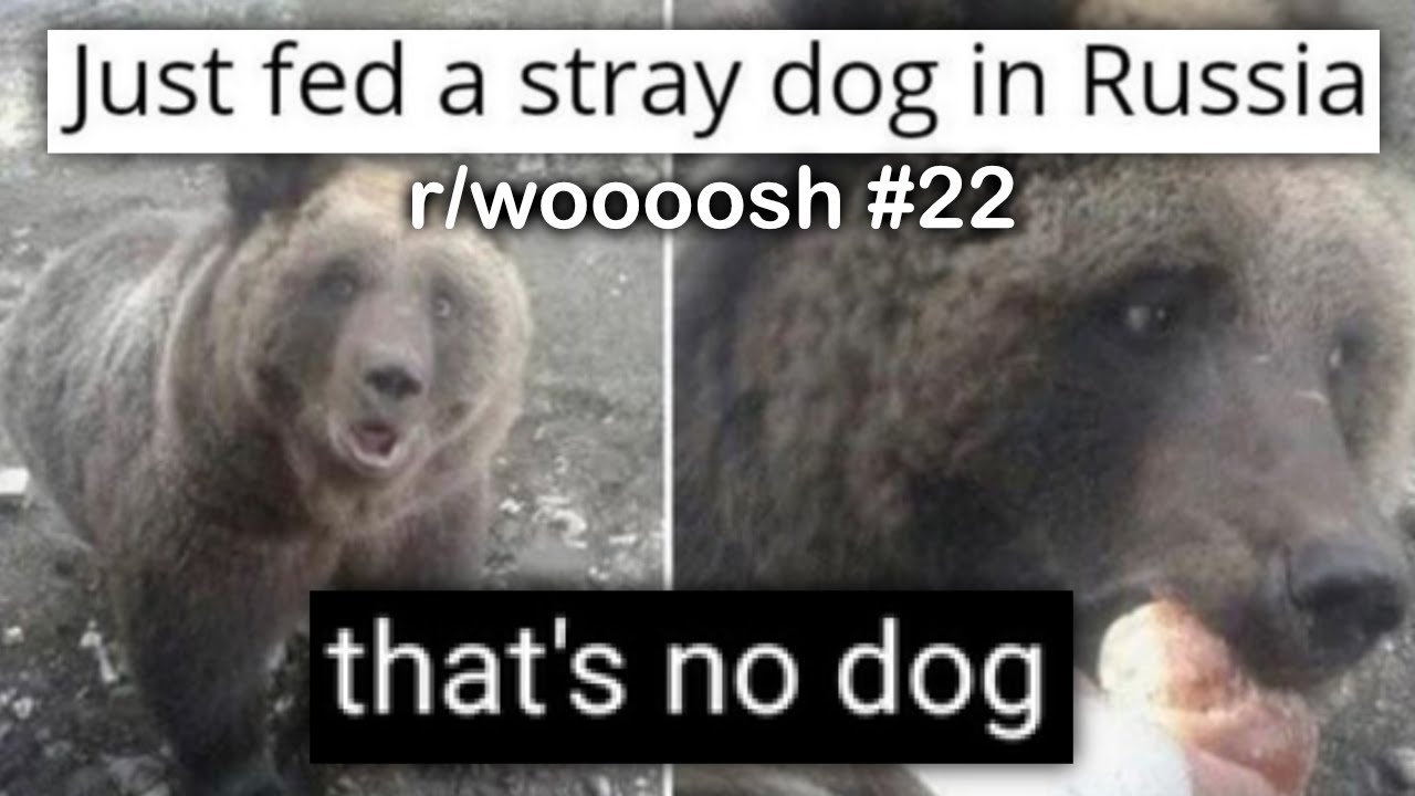 r/woooosh Best Posts #22