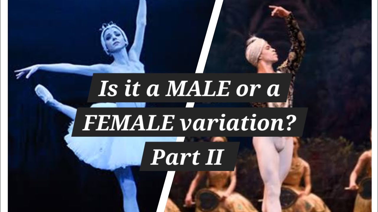 Can you guess if it's a MALE or a FEMALE variation?