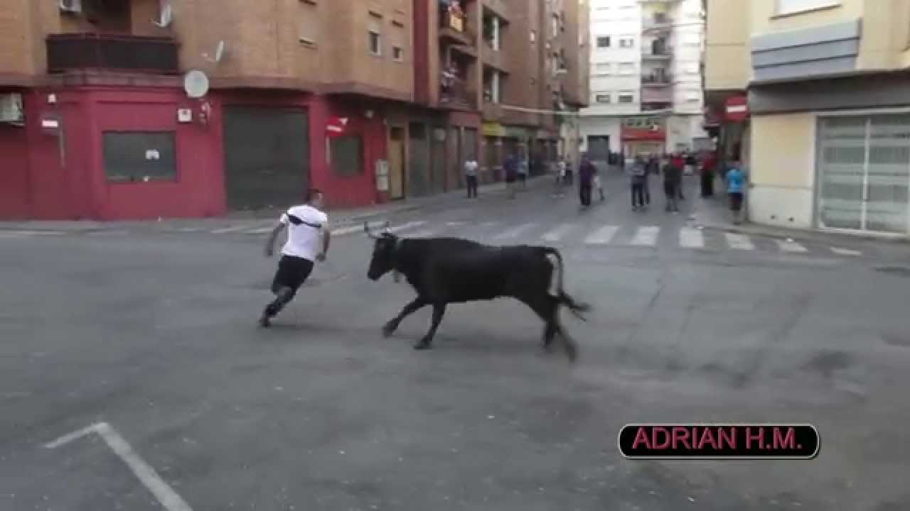 ONDA 23-5-2015 LA PALOMA VACAS 