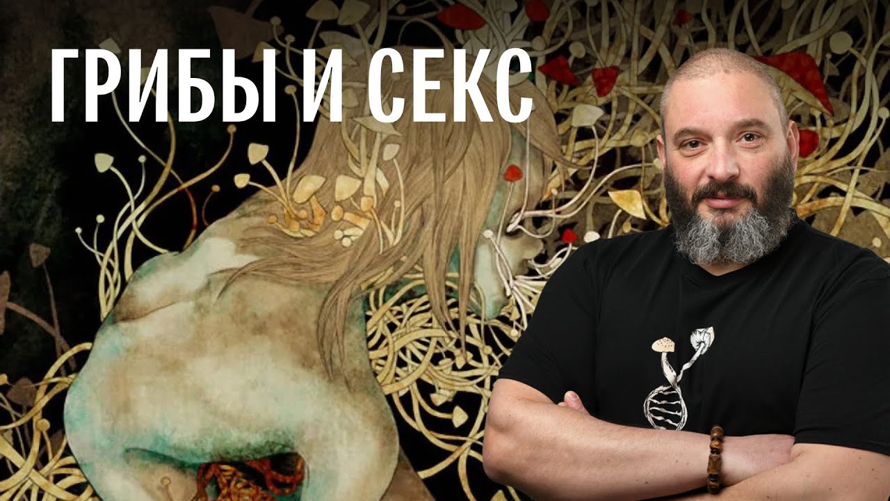 «Грибы и секс». Запись лекции-презентации новой книги Михаила Вишневского