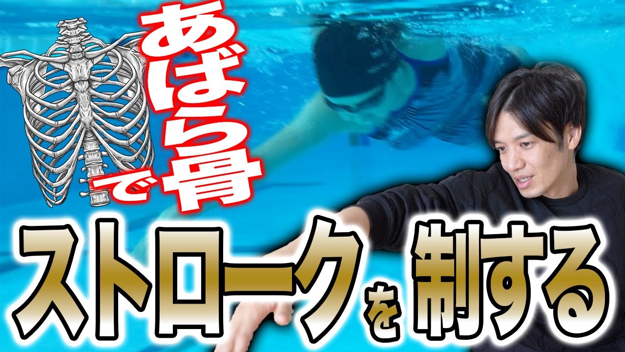 【クロール】ストロークや肩甲骨の動きは、あばら骨で決まります！すべての泳ぎにつながる重要なポイントを解説します！ ／スイム／練習／進む／ストローク／胸郭 #starswim #254
