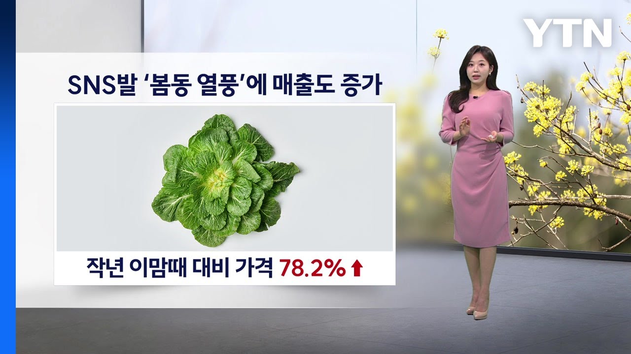 [이슈 날씨] SNS발 '봄동 열풍'에 매출도 증가, 주말까지 초봄 날씨 이어져... / YTN