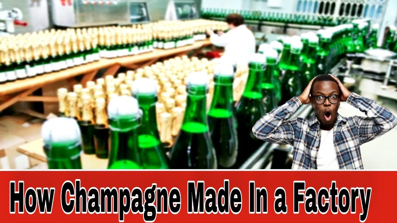 It's Amazing To See How Champagne is Made in a Factory